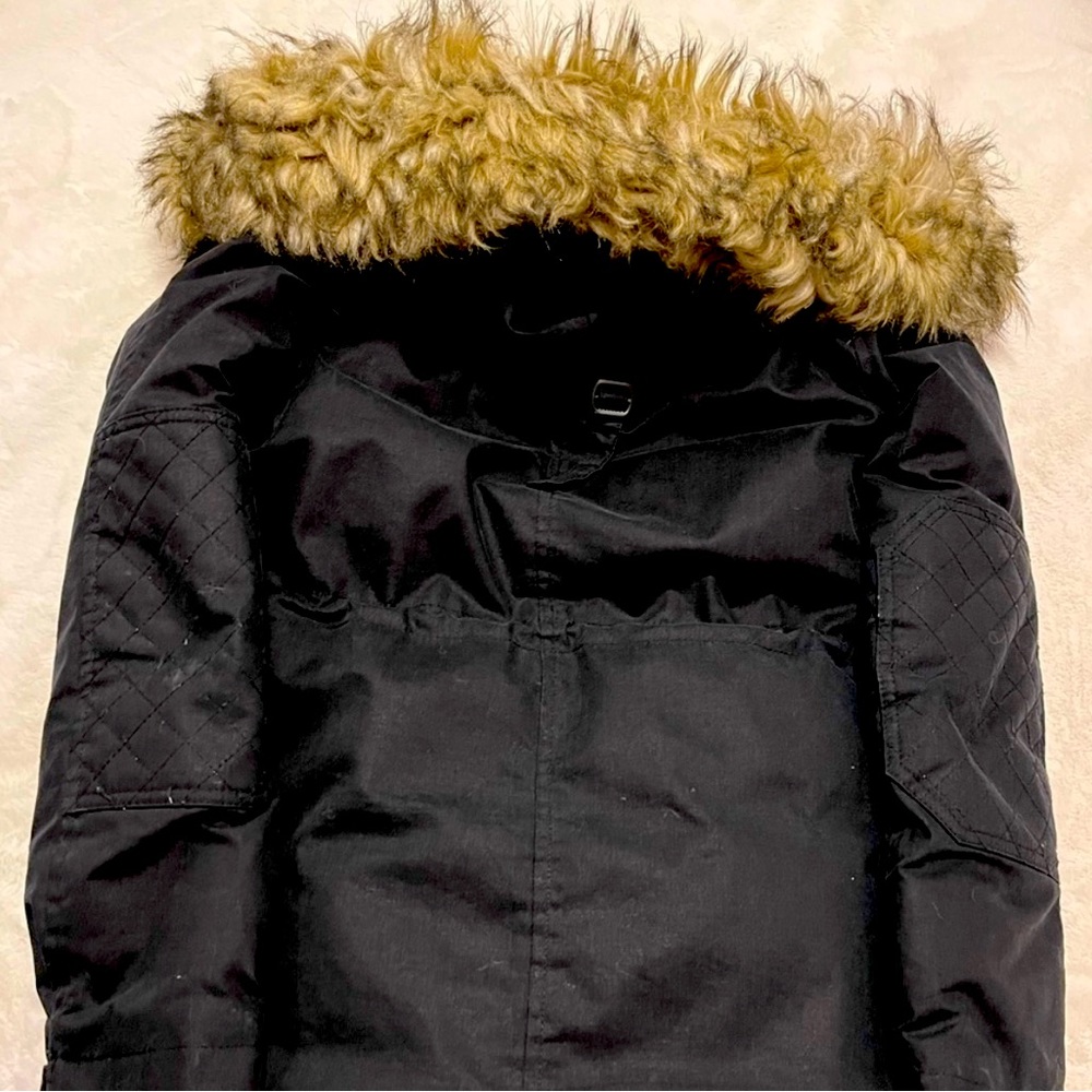 Aritzia Parka